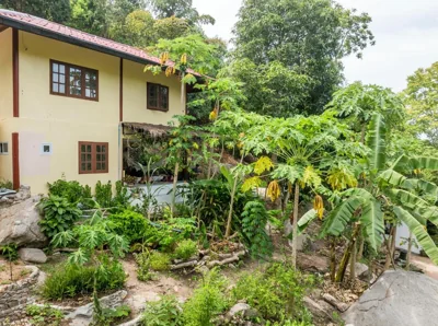 Slow-Down Homestay 2 – 照片 6